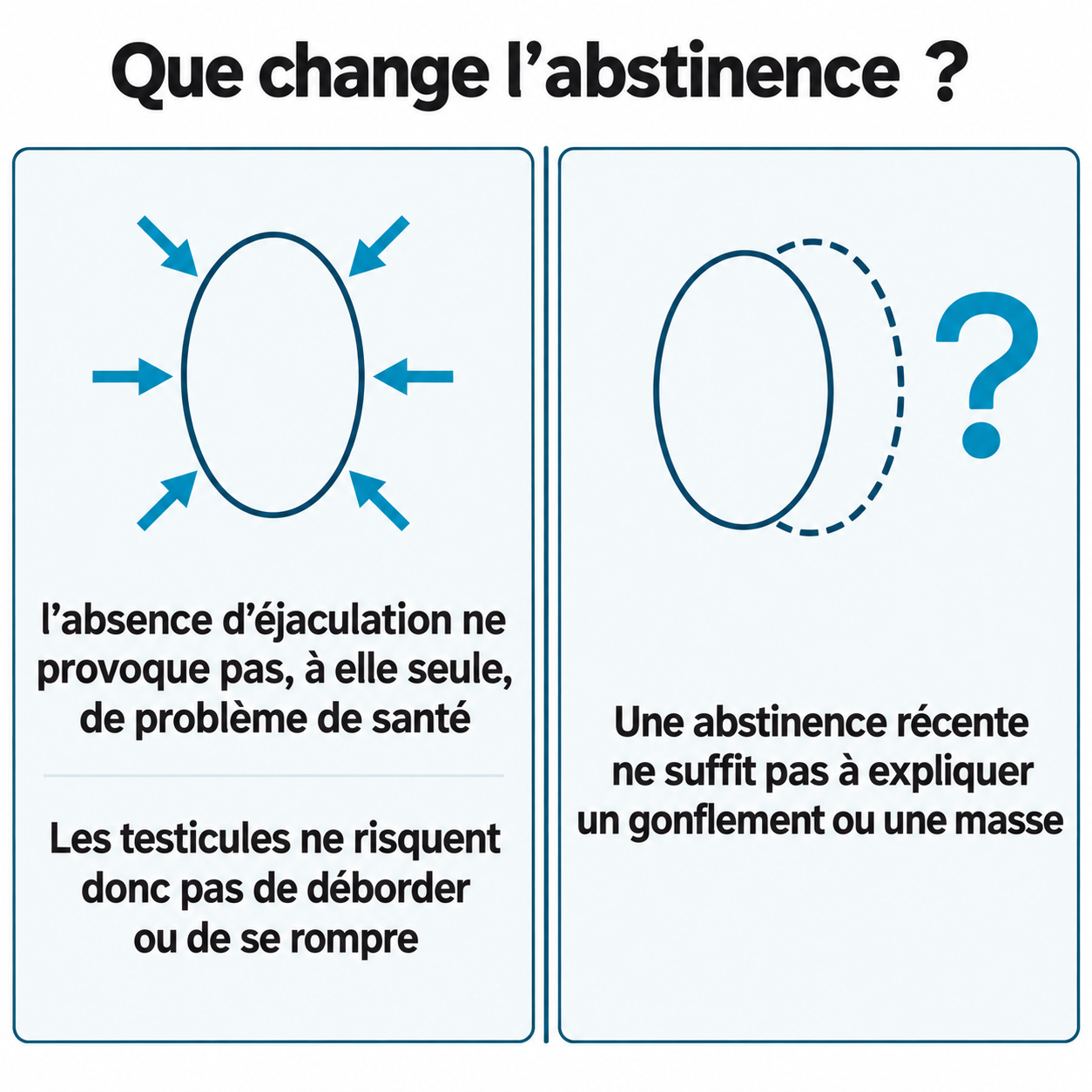 Schéma illustratif : Que change l’abstinence ? ; l’absence d’éjaculation ne provoque pas, à elle seule, de problème de santé ; Les testicules ne risquent donc pas de déborder ou de se rompre ; Une abstinence récente ne suffit pas à expliquer un gonflement ou une masse