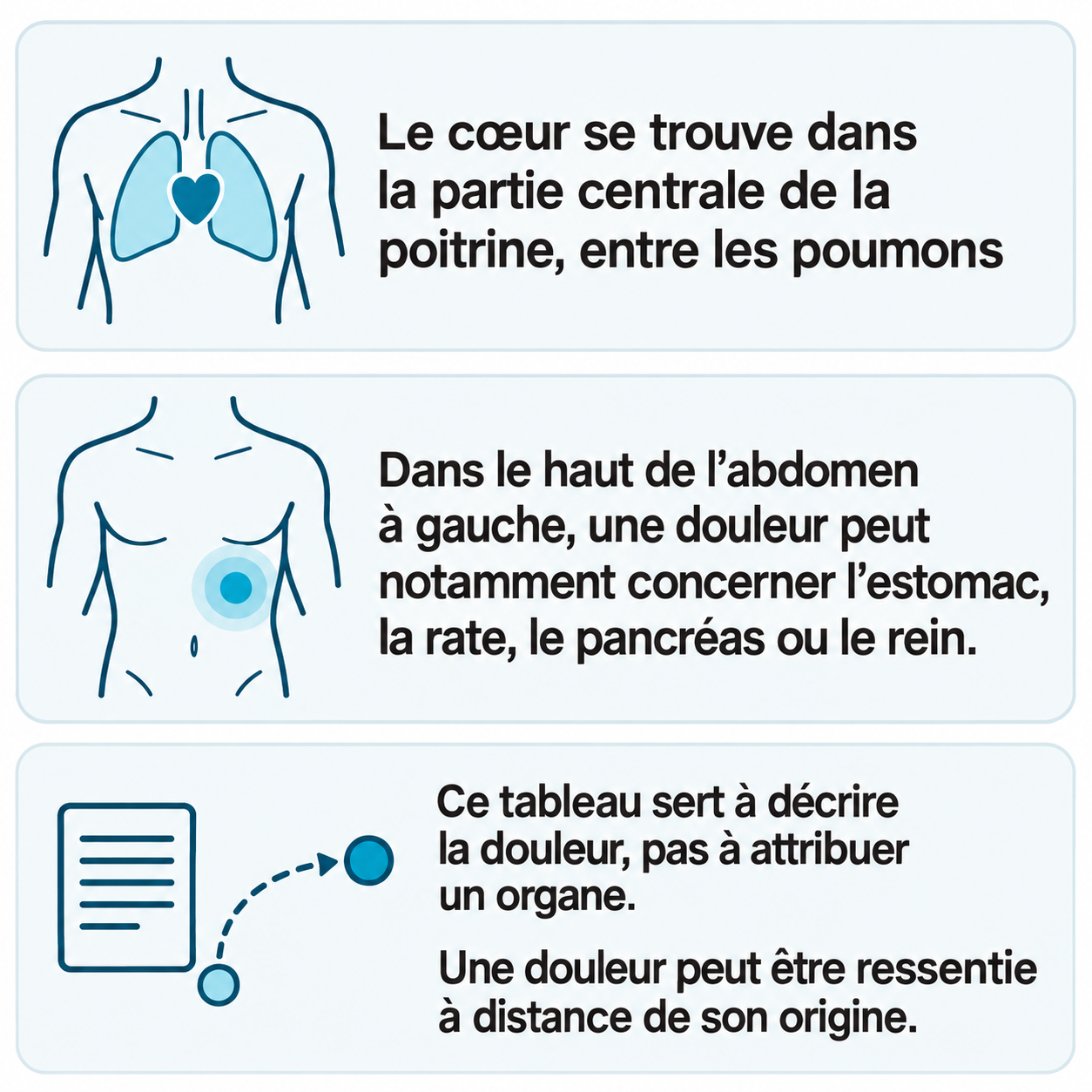 Schéma illustratif : Le cœur se trouve dans la partie centrale de la poitrine, entre les poumons ; Dans le haut de l’abdomen à gauche, une douleur peut notamment concerner l’estomac, la rate, le pancréas ou le rein. ; Ce tableau sert à décrire la douleur, pas à attribuer un organe. ; Une douleur peut être ressentie à distance de son origine.