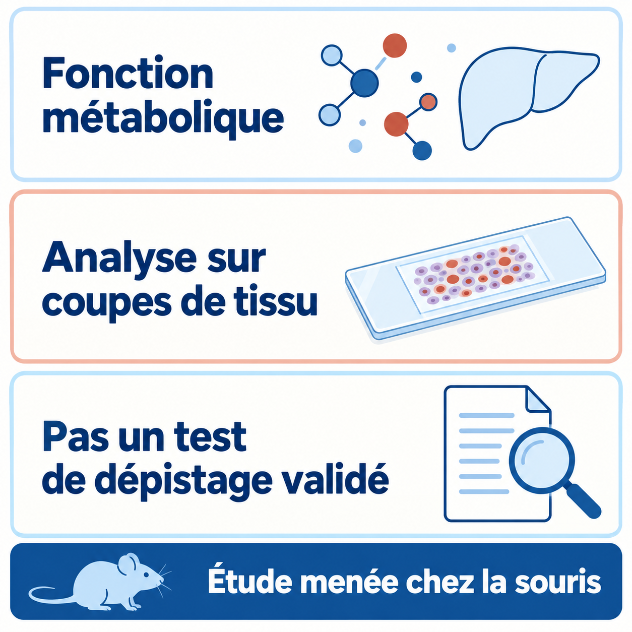 Trois notions distinctes : fonction métabolique, analyse sur coupes de tissu et absence de test de dépistage validé ; étude menée chez la souris.