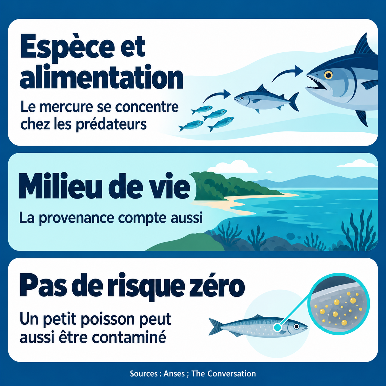 Repères : Espèce et alimentation — Le mercure se concentre chez les prédateurs ; Milieu de vie — La provenance compte aussi ; Pas de risque zéro — Un petit poisson peut aussi être contaminé.