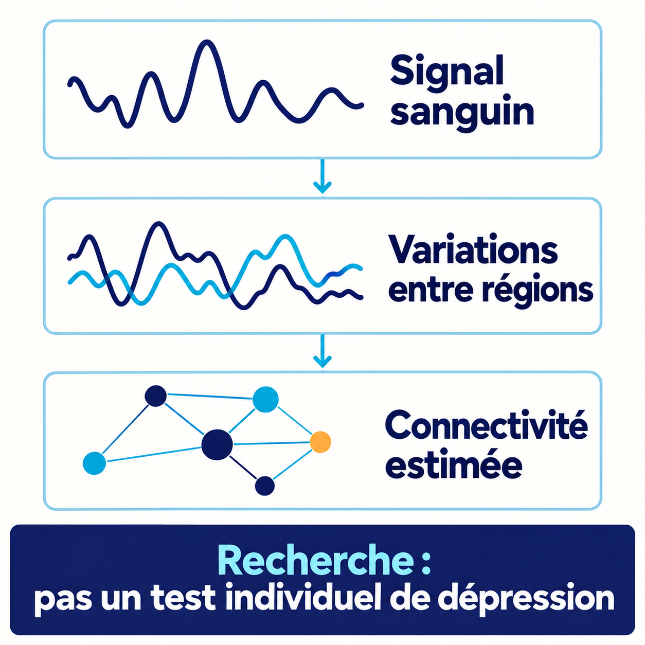 Schéma de la mesure en IRM fonctionnelle : signal sanguin, variations entre régions et connectivité estimée.